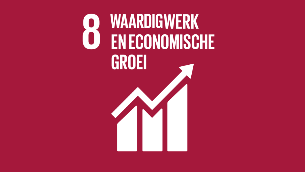 SDG8