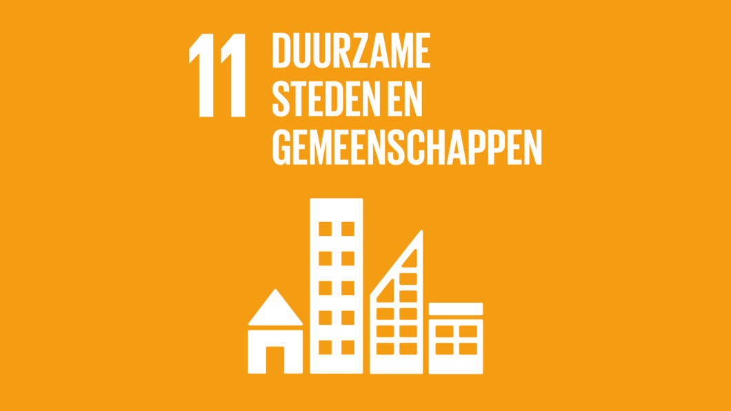 SDG11