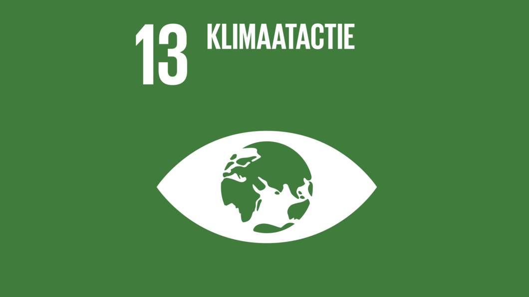 SDG13