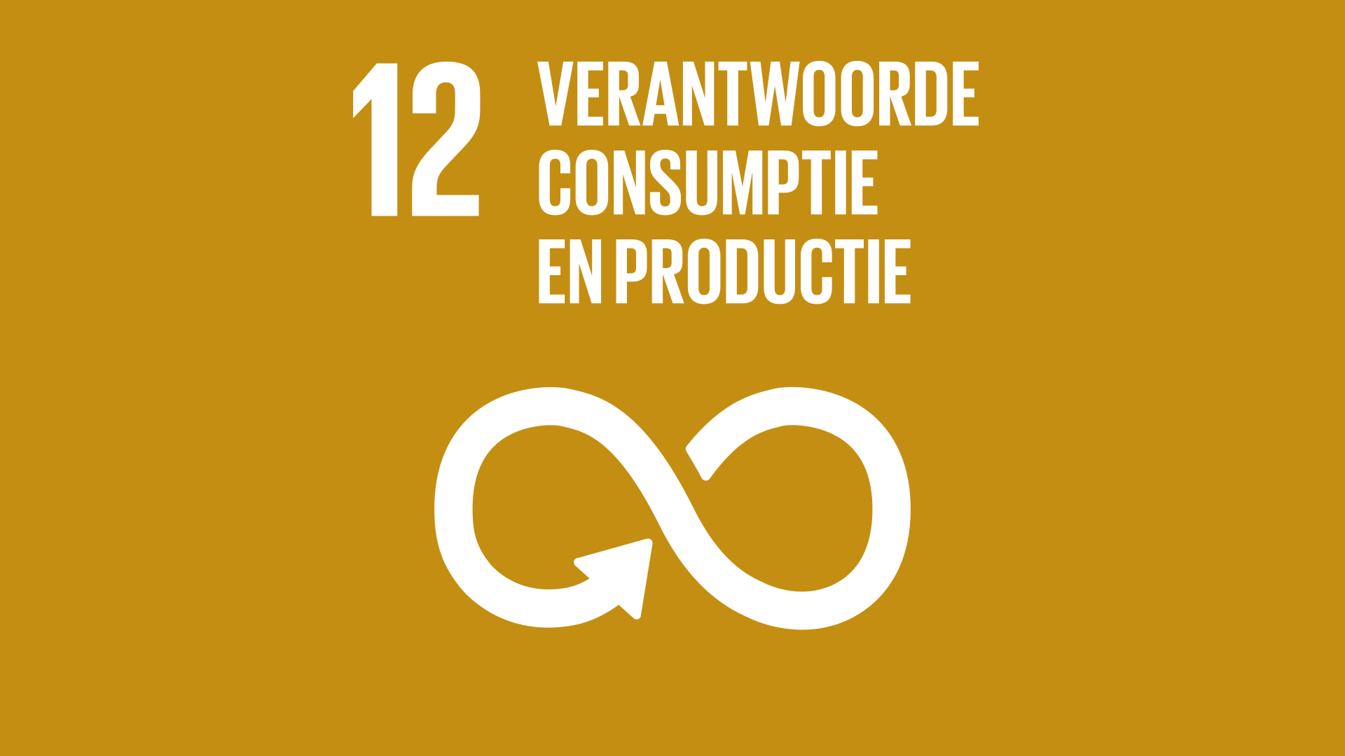 SDG12