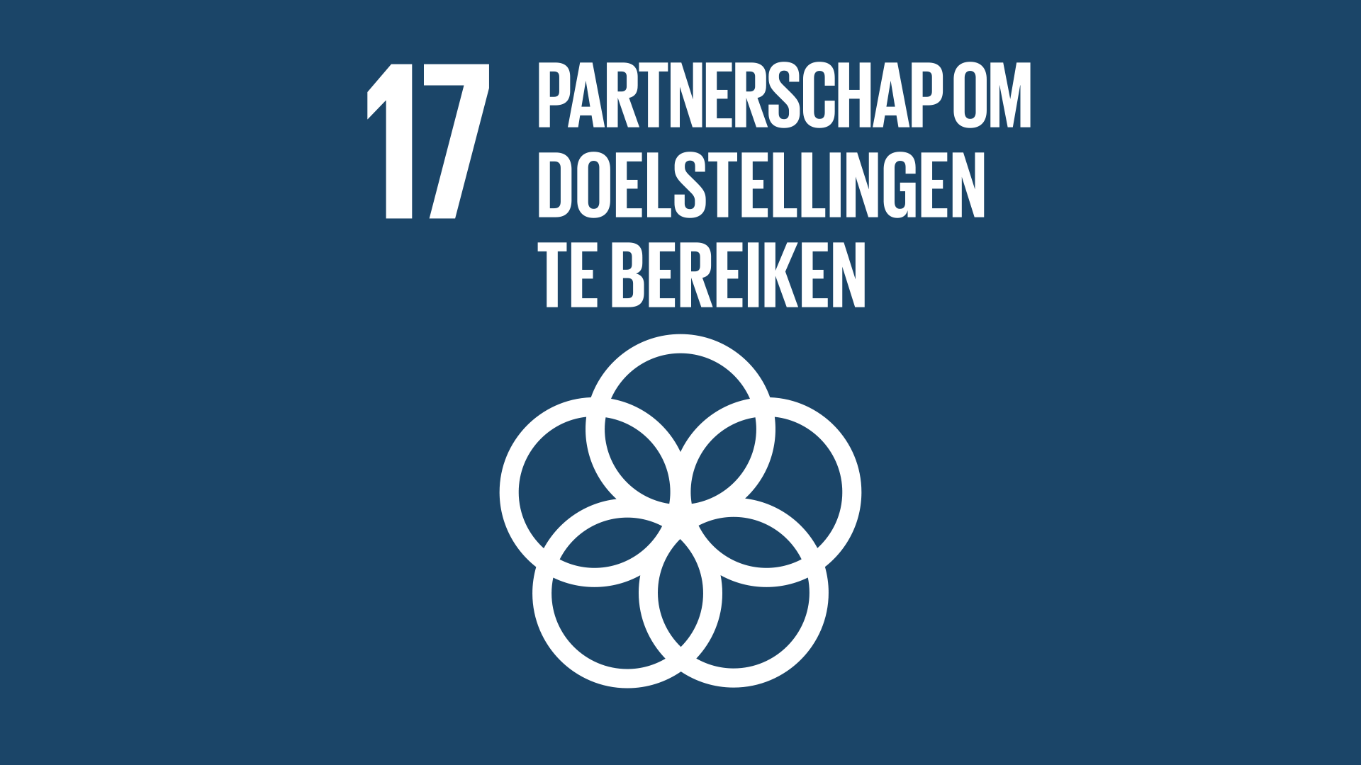 SDG17